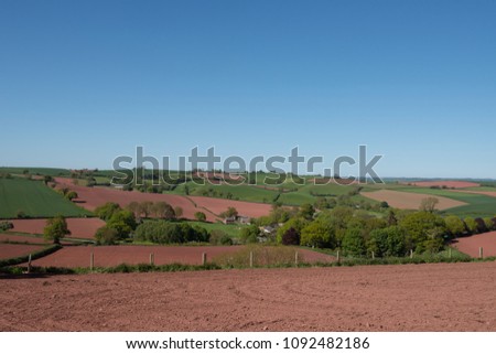 Red Sandstone Soil of the Devon Redlands, England, UK