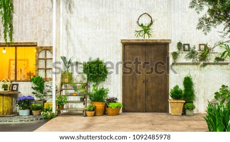 Relaxing area with  flower pot  decoration near window in cozy home on summer.