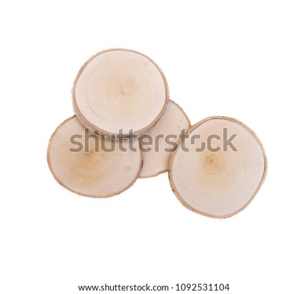 Sawn birch wooden logs on round discs isolated on white background.
