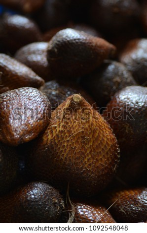 Salak Snake Skin fruit from Indonesia Sallaca salaca