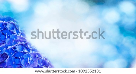 floral background with blue hydrangeas, calendar cards and presentations