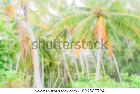 Defocused background of tropical forest in French Polynesia. Intentionally blurred post production for bokeh effect