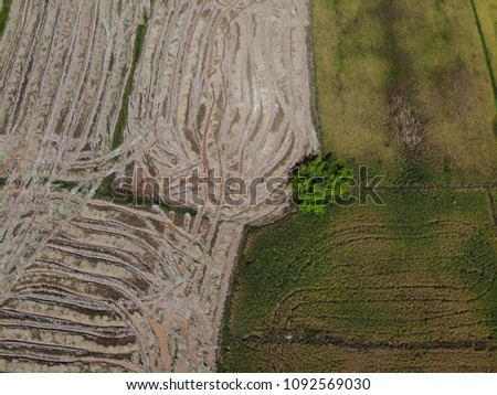 Aerial view of paddy field at Tunjong, Kota Bharu, Kelantan along the Salor to Pasir Mas Highway.