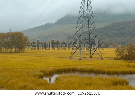 Rice fields in Vietnam, with an electricity rig in the picture