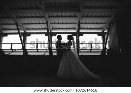 Silhouette just married couple of beautiful groom in a gray business suit and a bride in a luxurious white dress with a veil with amazing haircut. Newlyweds at wedding day.
