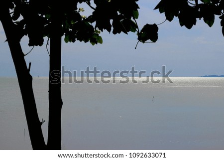  silhouette tree and the sea with soft focus