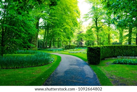 Garden view with beautiful grass arrangement devious with tall trees growing near the long curved cemented running clean path is the best option to go in the summer evening.   