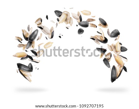 Peeled sunflower seeds are frozen in the air, isolated on white background 