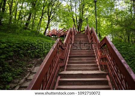 wooden staircase in the woods