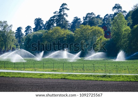 Sprinkler watering. Irrigation system on green field.