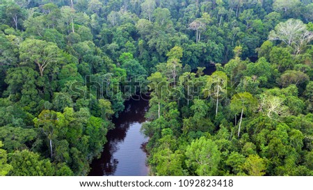 Aerial view of the Taman Negara tropical rainforest in Malaysia Royalty-Free Stock Photo #1092823418