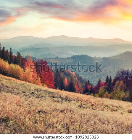 Attractive autumn sunrise in mountain valley. Splendid morning view Capathian mountains, Ukraine, Europe. Beauty of nature concept background. Artistic style post processed photo.