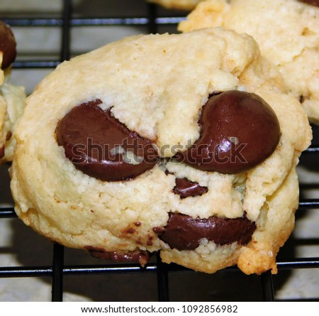 Chocolate chip almond meal "monster cookie" closeup picture
