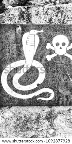 in south africa the metal signal of the danger for wild snake and the skull and bones in a rock concept od fear
