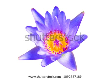 Lotus flower to creative pattern and texture design with background.Top view.Copy space.Clipping path