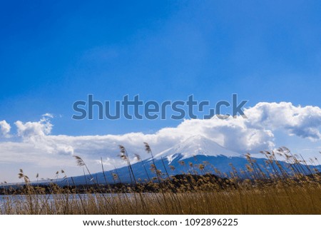 Beautiful scenery View of Mount Fuji with cloud at kawaguchiko, Japan in the sunny day, Lake kawaguchi is a very popular for tourists and photographers
