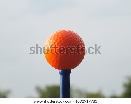 Golf ball on the green grass in beautiful . Golf ball on green in golf course at Thailand