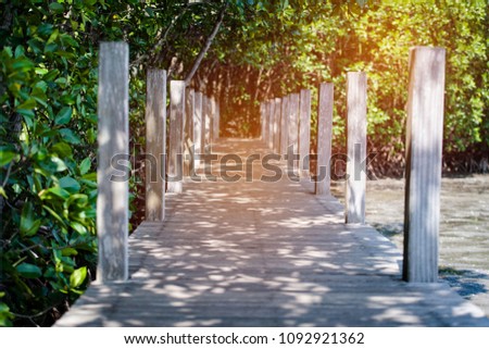 Long wood bridge in mangrove forest, Kung Krabaen Bay Royal Development Study Center. Chanthaburi Thailand
