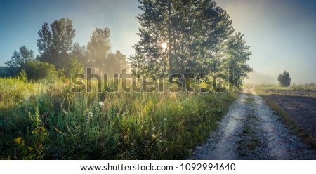 Meadow in the Lublin region. Picture taken in the spring at sunrise on a misty meadow in one of the villages in the Lublin region.