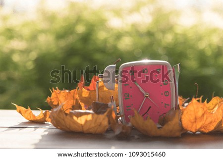 Pink Alarm clock on wooden table with dry maple leaves in backlight light.