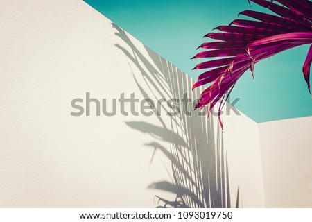 Purple palm leaves against turquoise sky and white wall. Vivid colors, creative colorful minimalism. Copy space for text Royalty-Free Stock Photo #1093019750