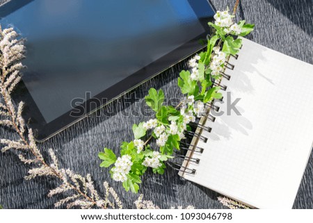 Branches of flowers and memo pad with tablet device isolated on grey paper background. Clear notepad and memo pad with dark display lying near fresh spring plants