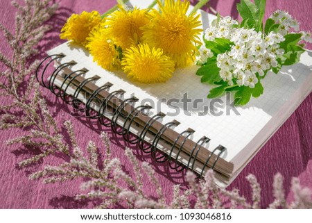 Dandelion and lilac flowers lying on clear sheet of open notepad. Abstract florist bouquet isolated on pink paper background. Photo art and different plants set