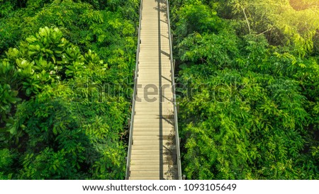 Natural wooden bridge in forest top view