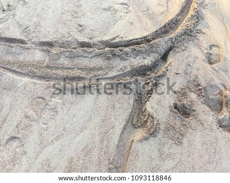 Close up beach sand texture background in perspective view, Summer holiday