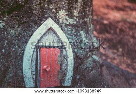 Close up of tree trunk with doorin the forest in Autumn