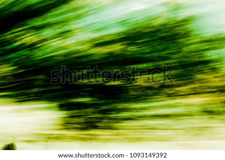 Abstract background create by tree, high speed car and sunset.