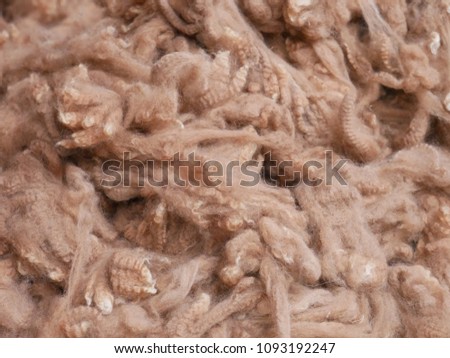 Blurred pure alpaca wool. Close up photo. Using as background.