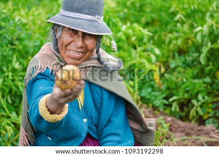 Old native american woman wearing authentic aymara clothes and showing fresh potato. Royalty-Free Stock Photo #1093192298