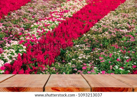 Wooden floor and group of colorful flowers in the garden. in The Grounds of the Dusit Palace the famous place of travel destination Bangkok, Thailand