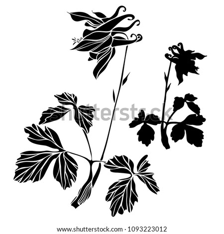 Beautiful botanical vector with flowers watershed. Black silhouettes on white background.