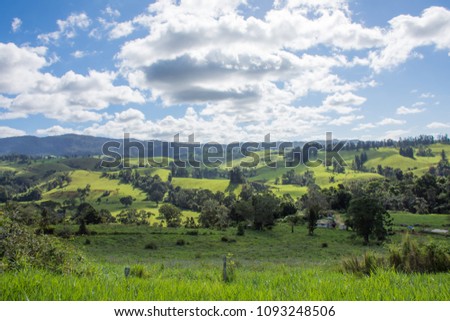 cows graze in green meadow under a blue sky  Royalty-Free Stock Photo #1093248506