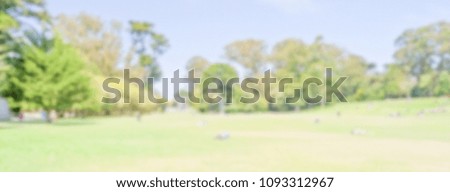 Defocused background of the Golden Gate Park, San Francisco. Intentionally blurred post production for bokeh effect