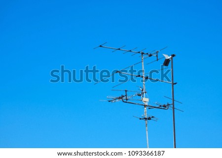 Antenna are communication tool send a signal digital Image and sound. Install on roof. sky background