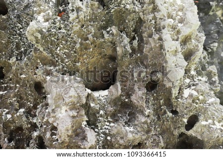 Coral stone, rock and sand pattern
