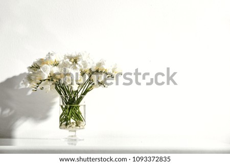 White flowers on white wall and shadow 