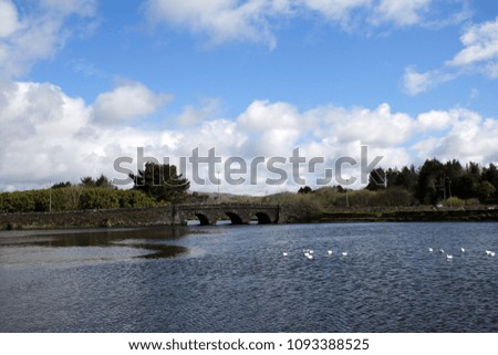 Railway bridge west Cork ireland