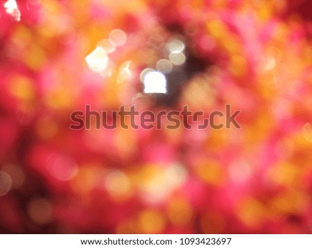 Abstract out of focus lights coming from the mother nature with abstract background of Red flower. Abstract background of Red, Yellow and white color. 