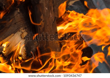 fire texture close-up background burning log vertical design bright with long tongues sparks