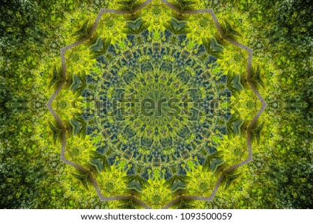 Psychedelic green spherical background - unusual forest pattern texture