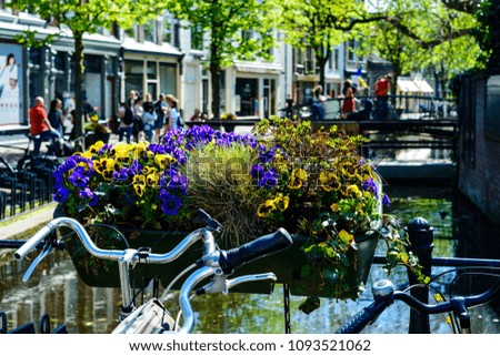Bicycles parked in a street of city Gouda. Flowers on the foreground
