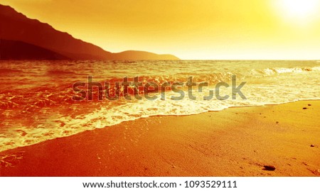 Summer photo of beach and golden sunset time. Free space for your text. 