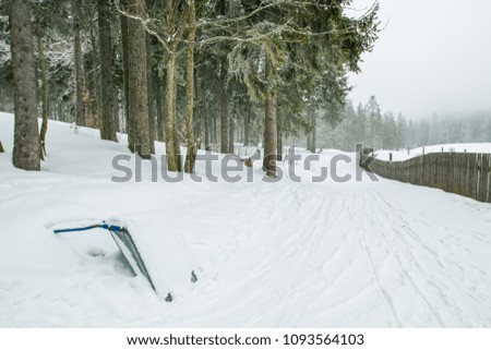 Snow covered mountains and pines on a heavy snow day in Austria