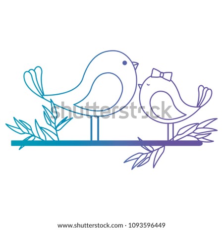 cute mother and son birds in branch characters