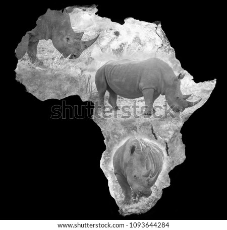 White rhino embedded on satellite image of the African continent. Elements of image supplied by NASA