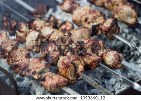 fried meat on coals, barbecue. Fried pieces of appetizing, juicy, tasty meat on skewers